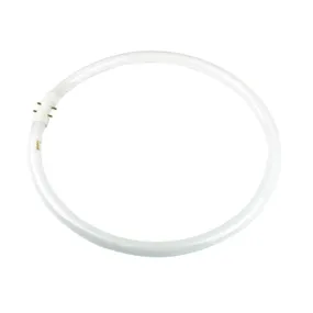 40w Fluorescent T5 Globe Cool White 4000k A-T5C-40/840