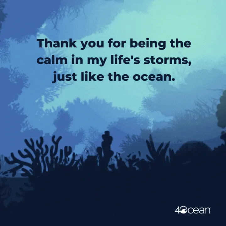 4ocean Digital Gift Card