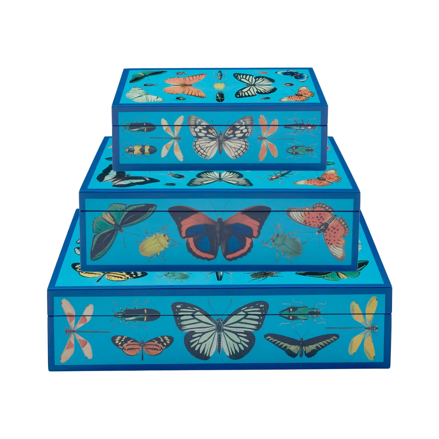 Botanist Lacquer Box Bundle