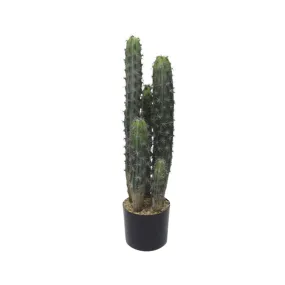 Cactus Potted 72cm