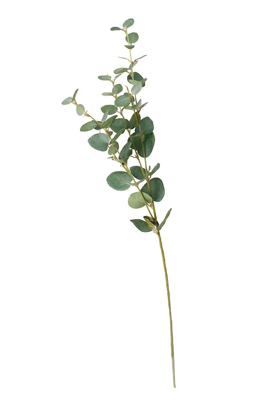 Eucalyptus Spray Green