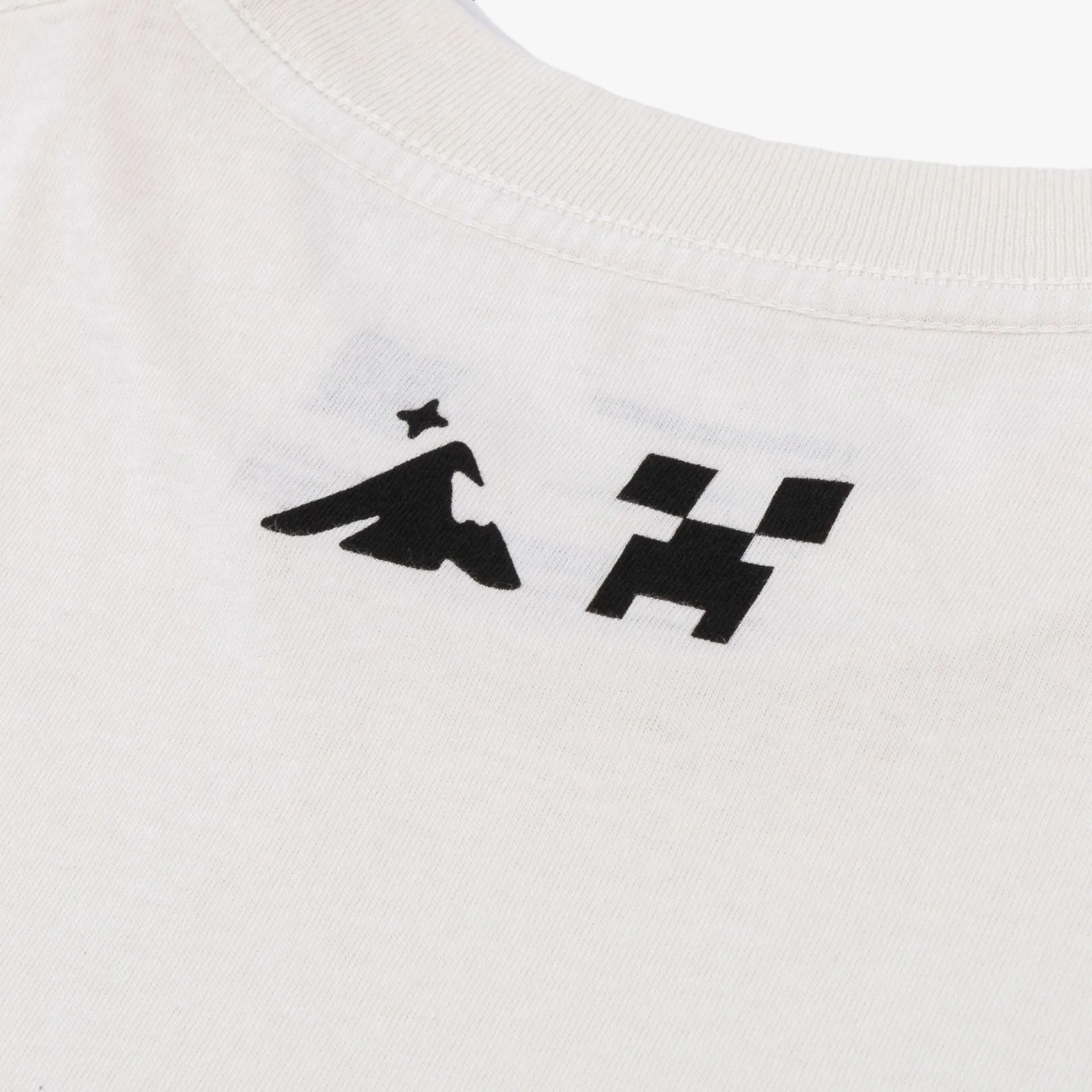 HG x Minecraft Browser Tee